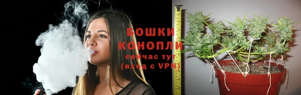 тгк Краснослободск