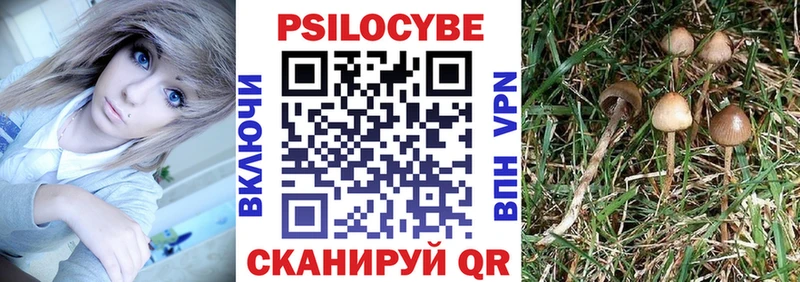 Псилоцибиновые грибы Cubensis  Костерёво 